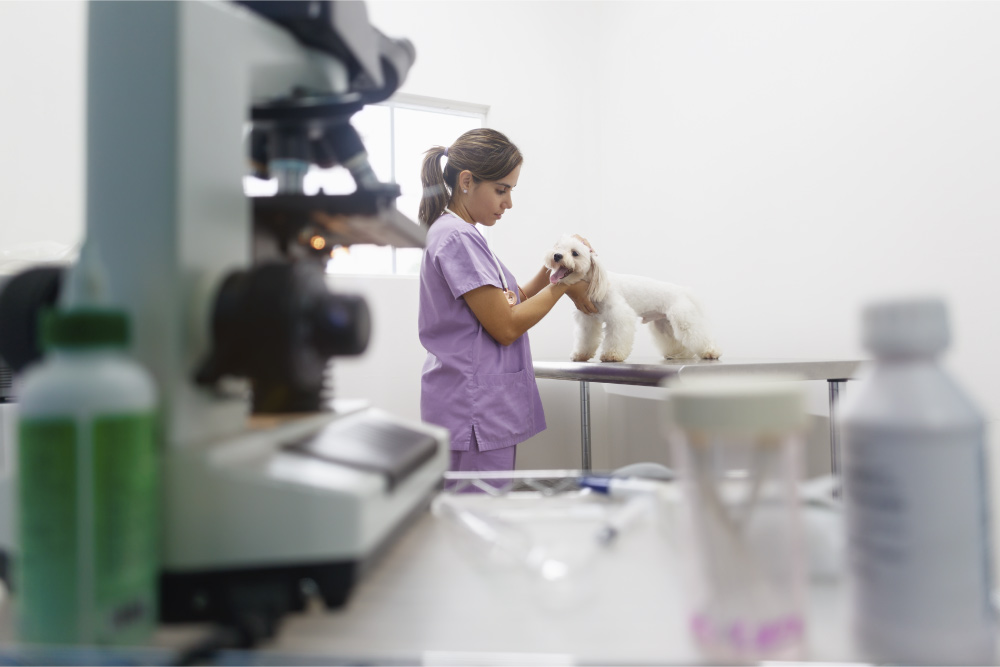 How can veterinary products be distributed to clinics
