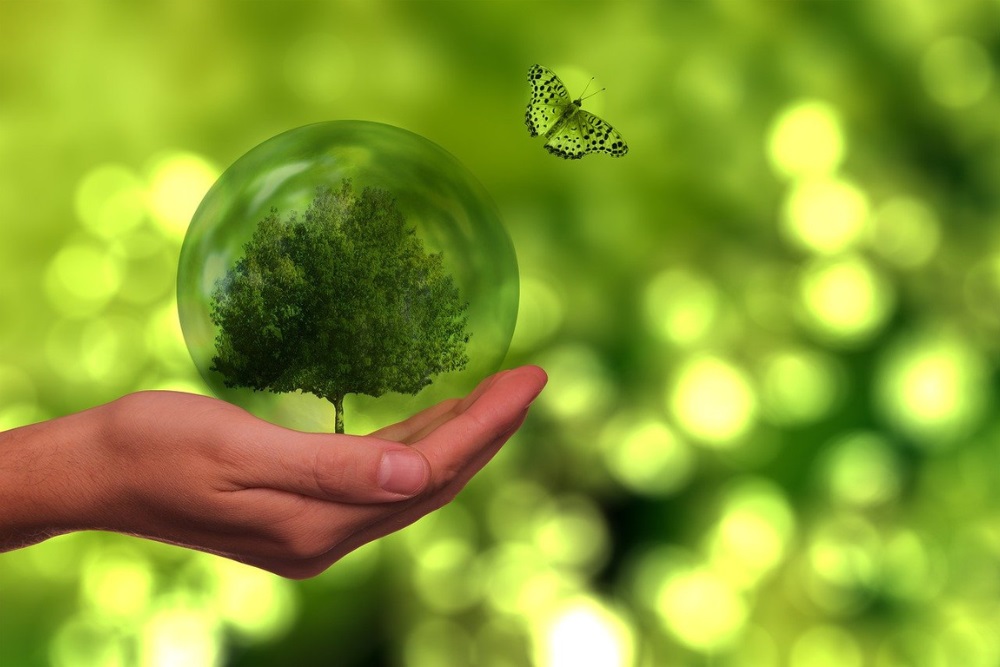 Sustainable practices for a more environmentally friendly approach to pharmaceutical logistics
