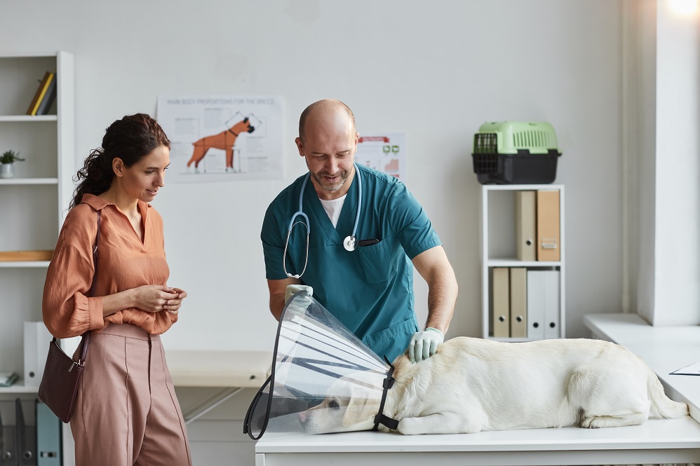 Key aspects for strategic planning in veterinary logistics airpharm