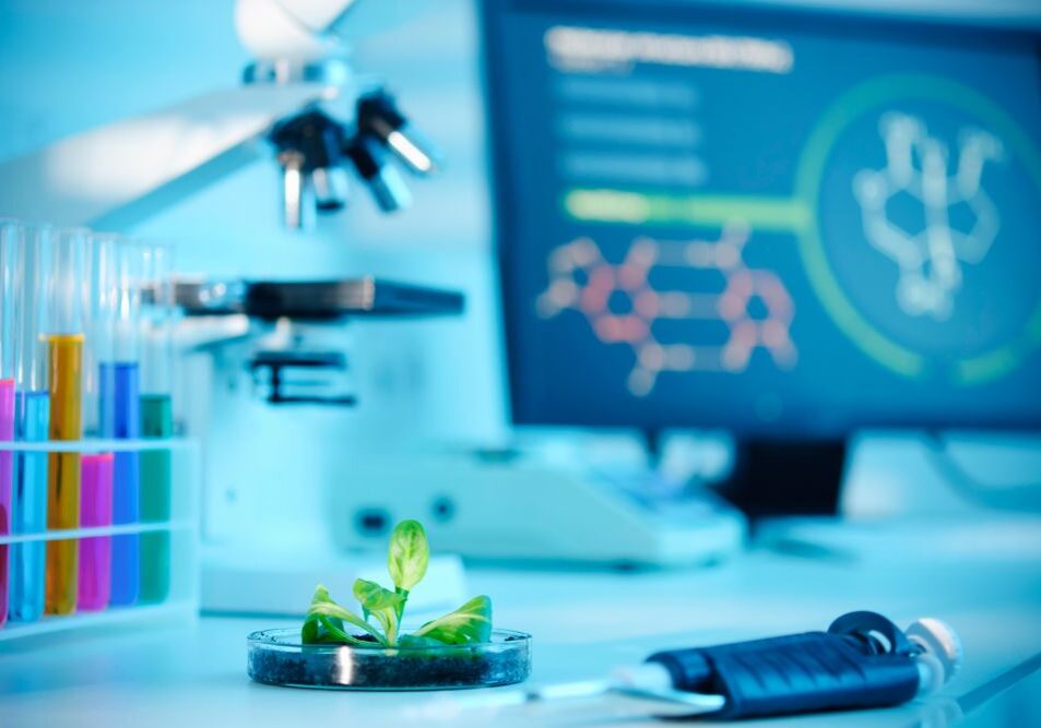 Risk management in the distribution of biotechnology materials